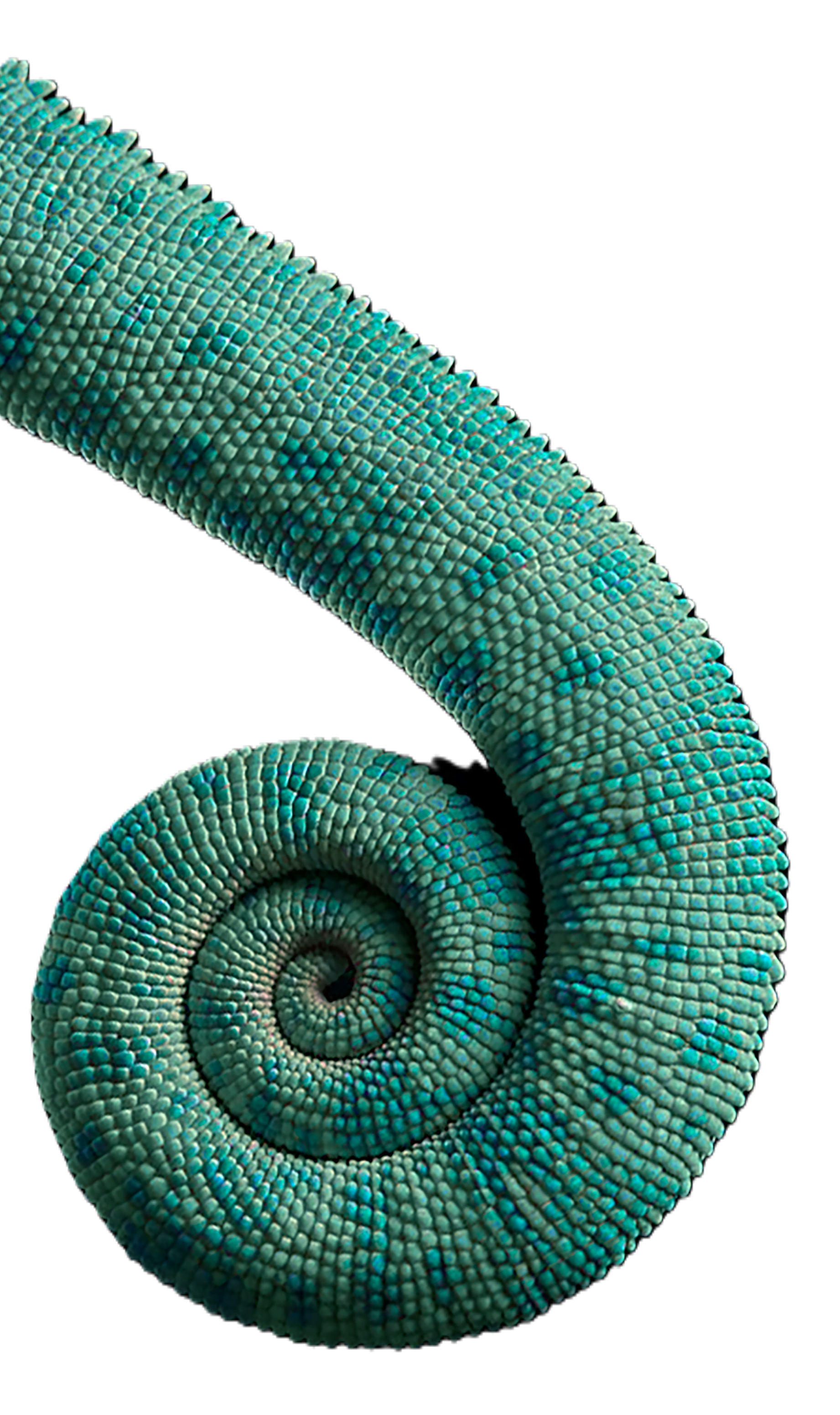 Vente Libella Consulting